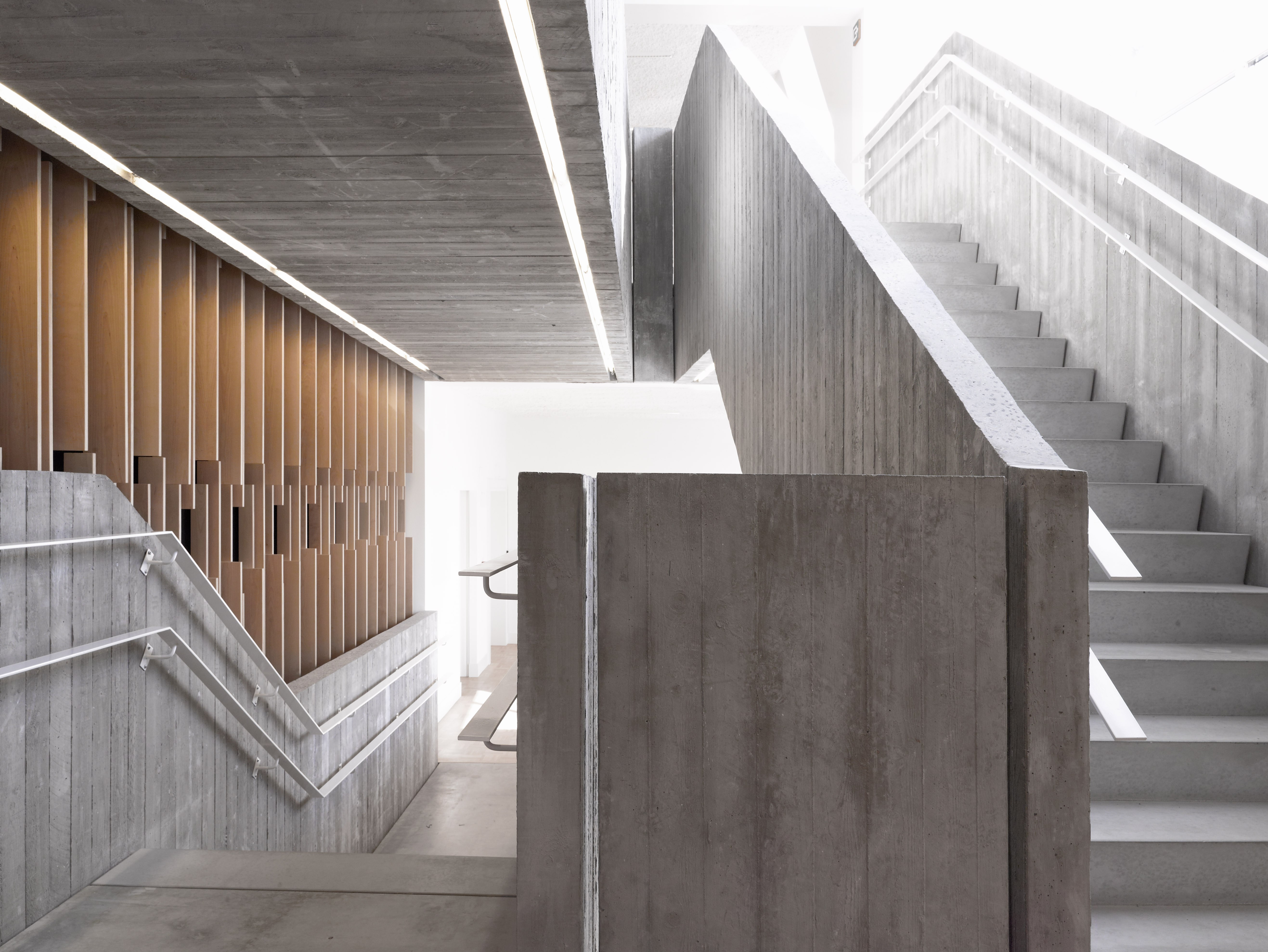 Muntpunt Stany Dederen 07