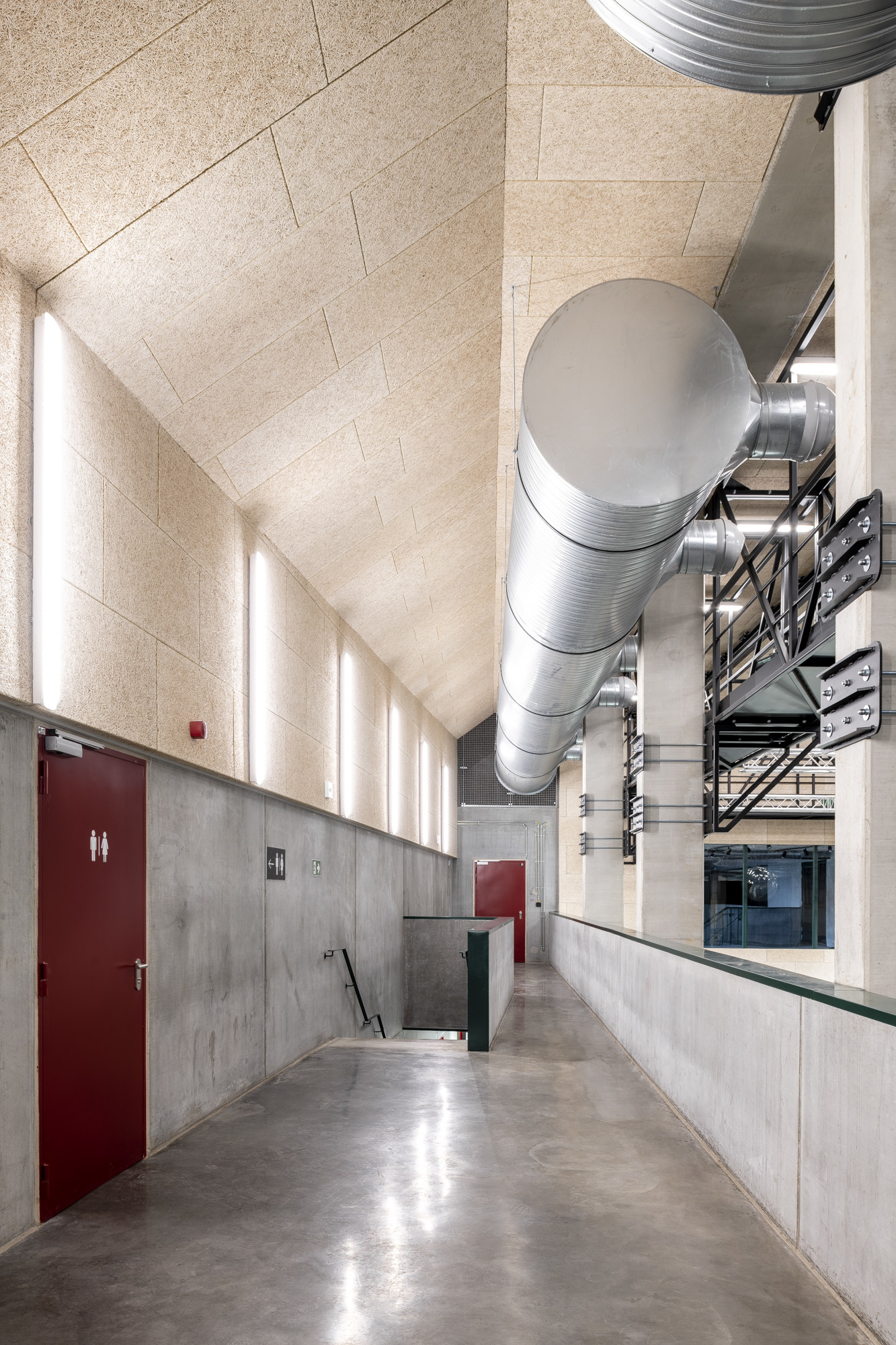 Olmo Peeters Ravelingen 3 LR 33