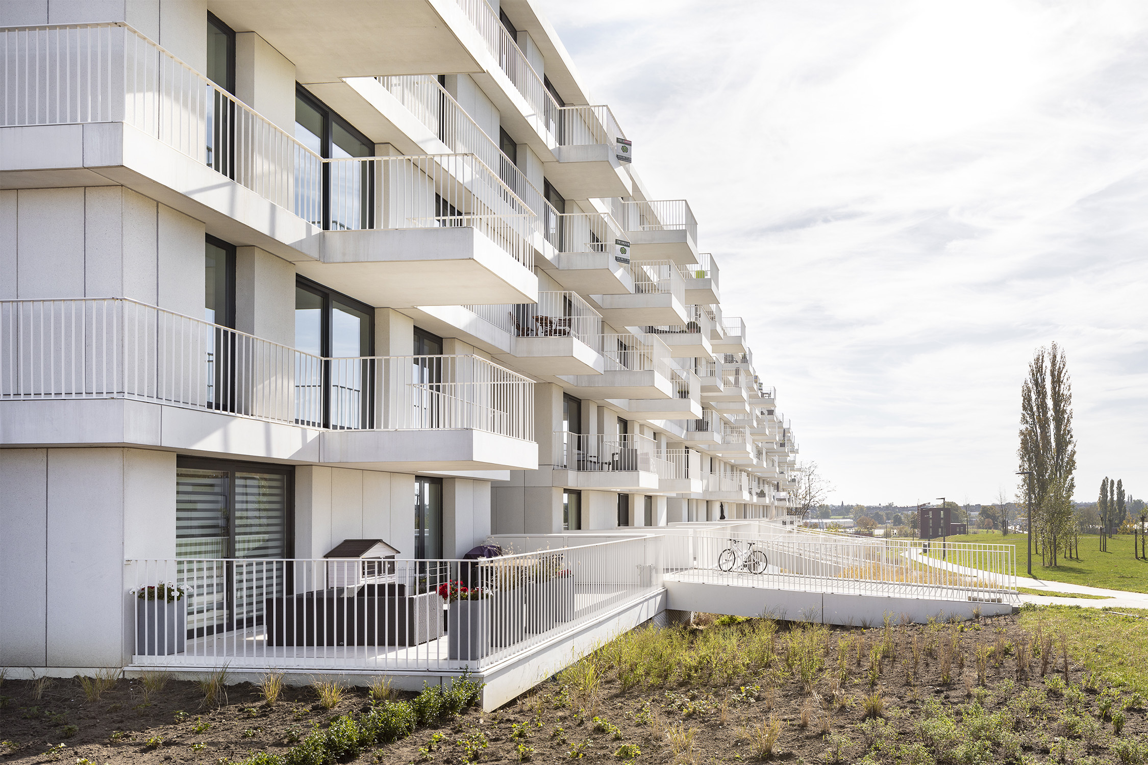 Pit Copyright  Ilse Liekens 004