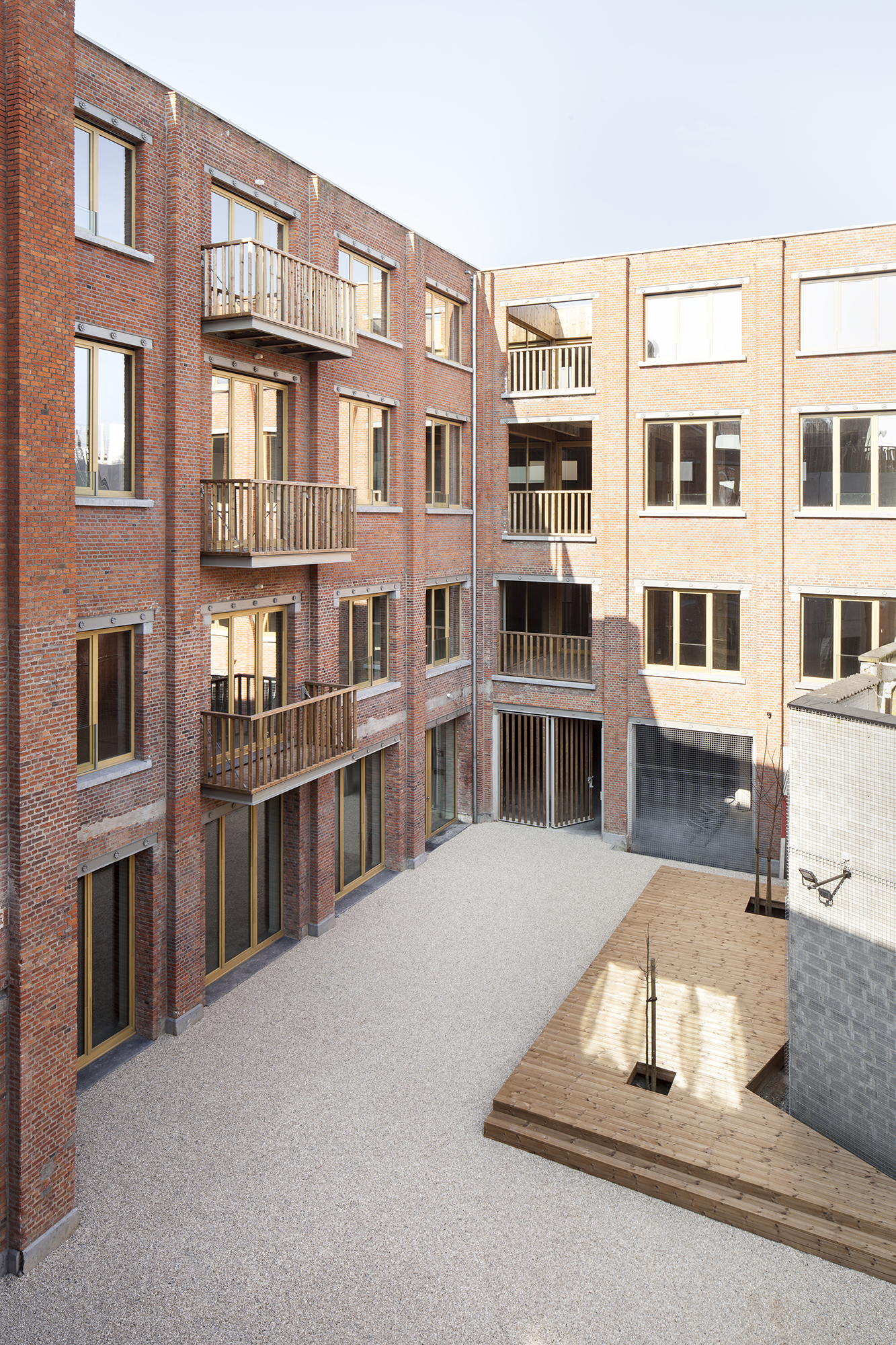 Passiflora Copyright Ilse Liekens 1