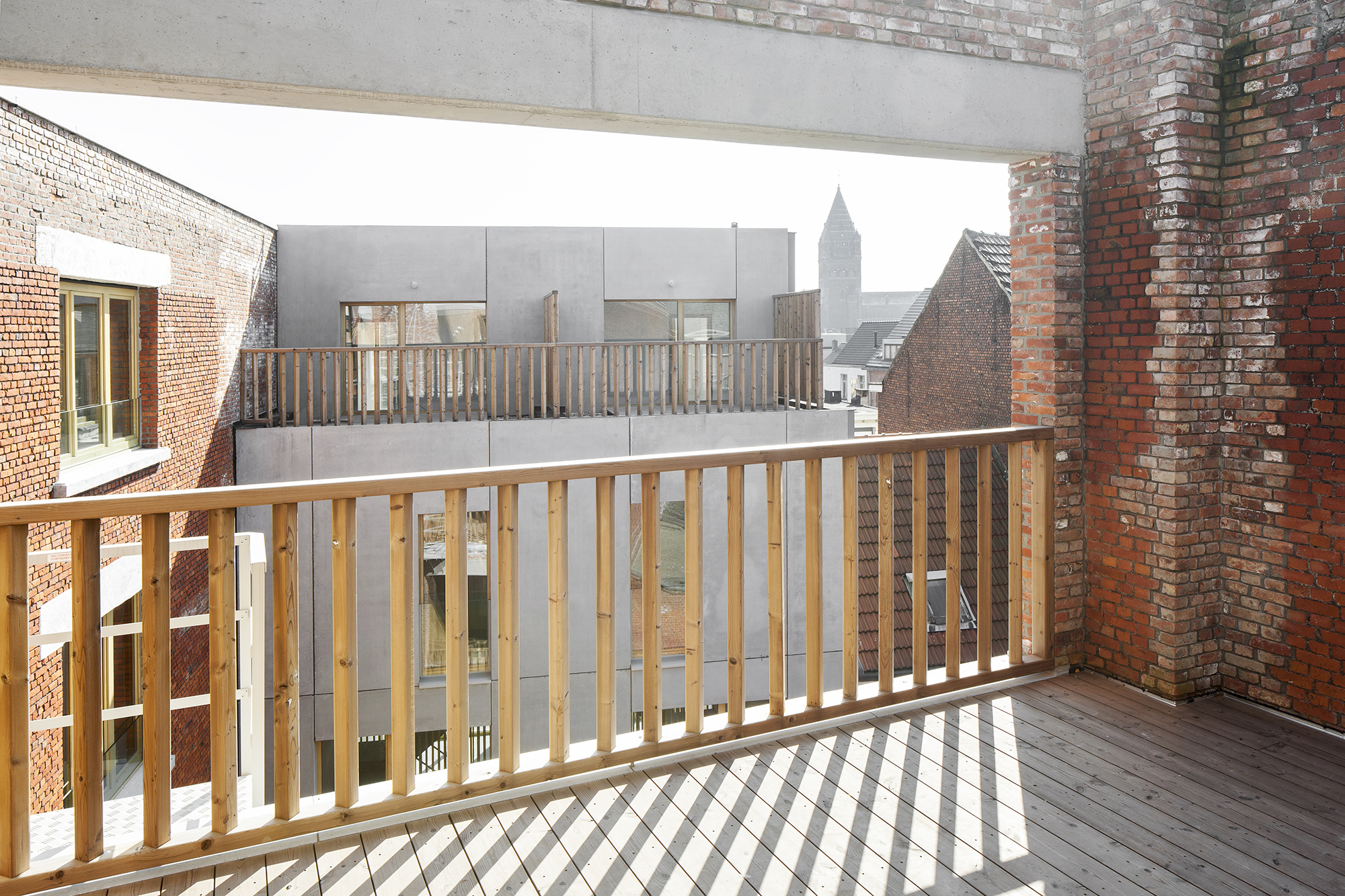 Passiflora Copyright Ilse Liekens 2