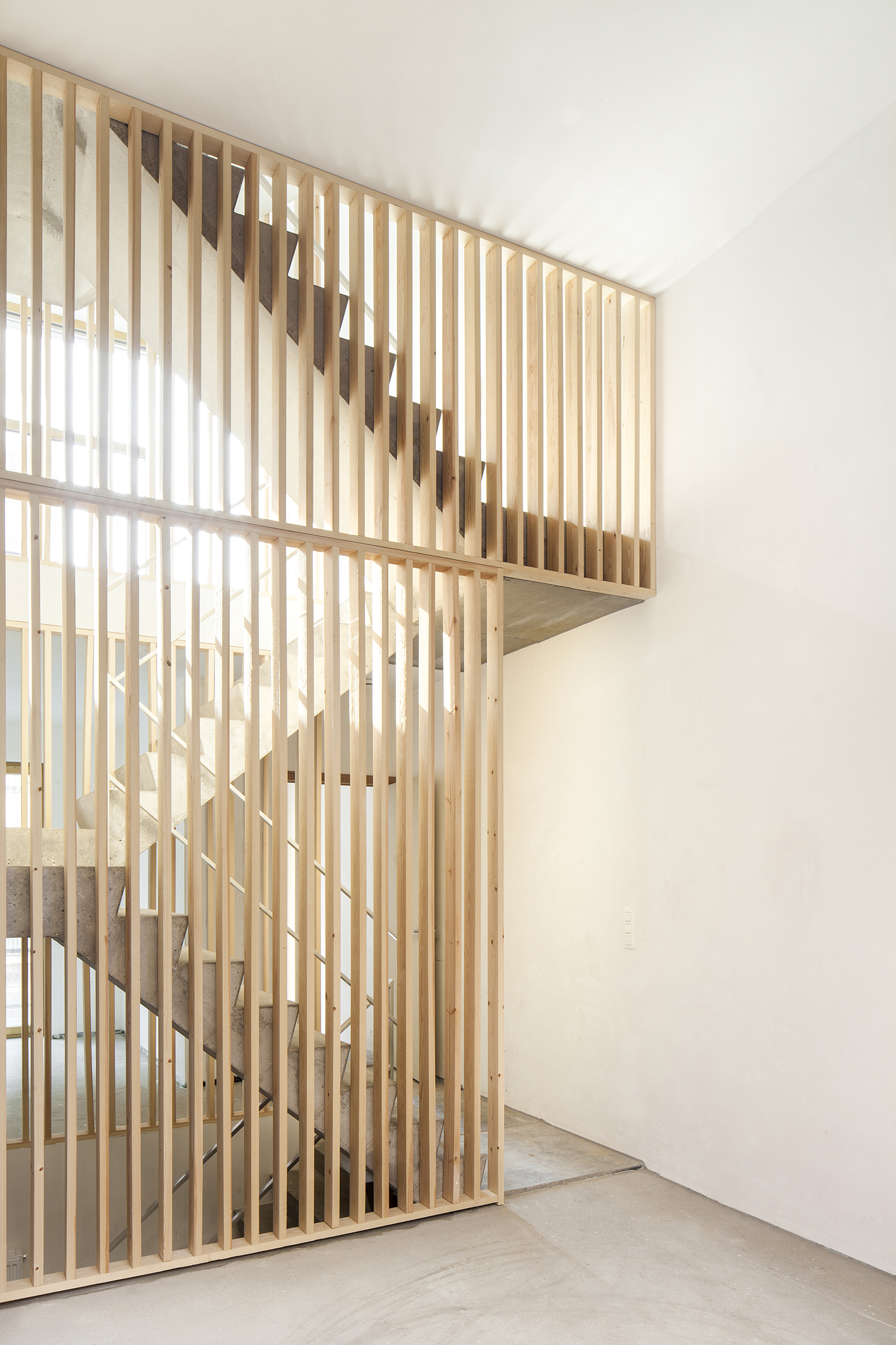 Passiflora Copyright Ilse Liekens 5