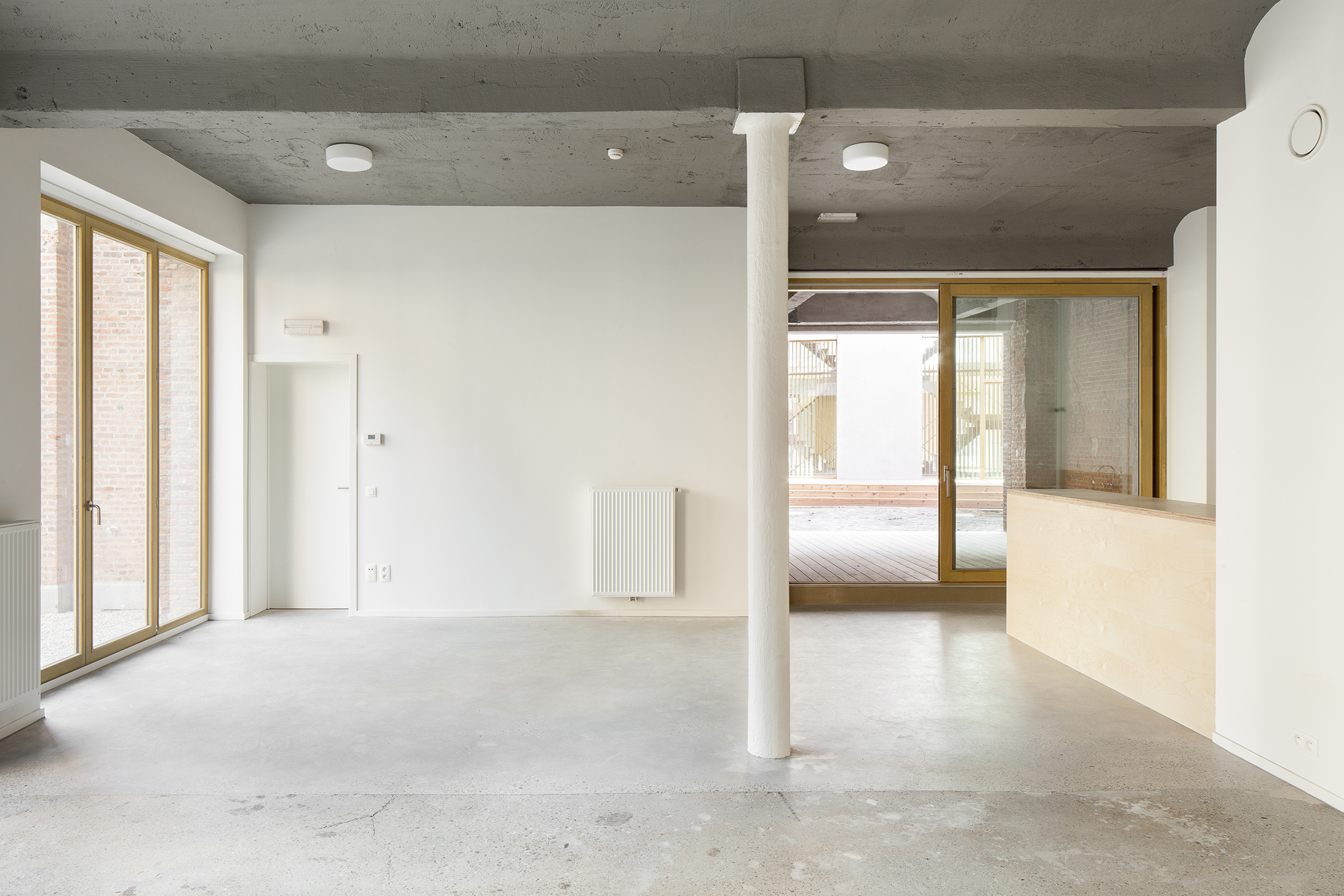 Passiflora Copyright Ilse Liekens 6