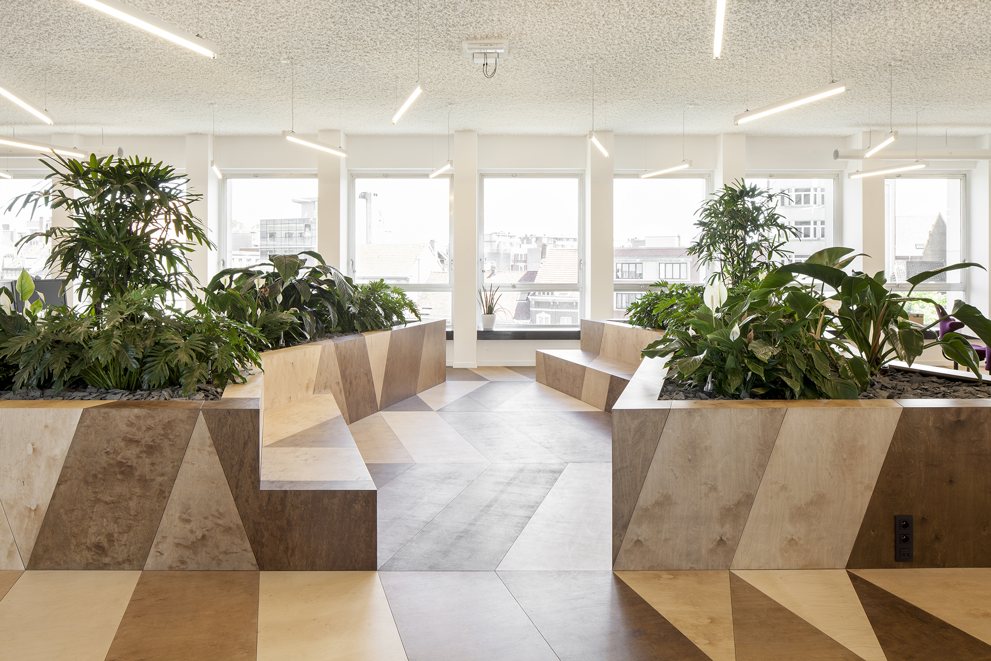 Prophets IlseLiekens 1