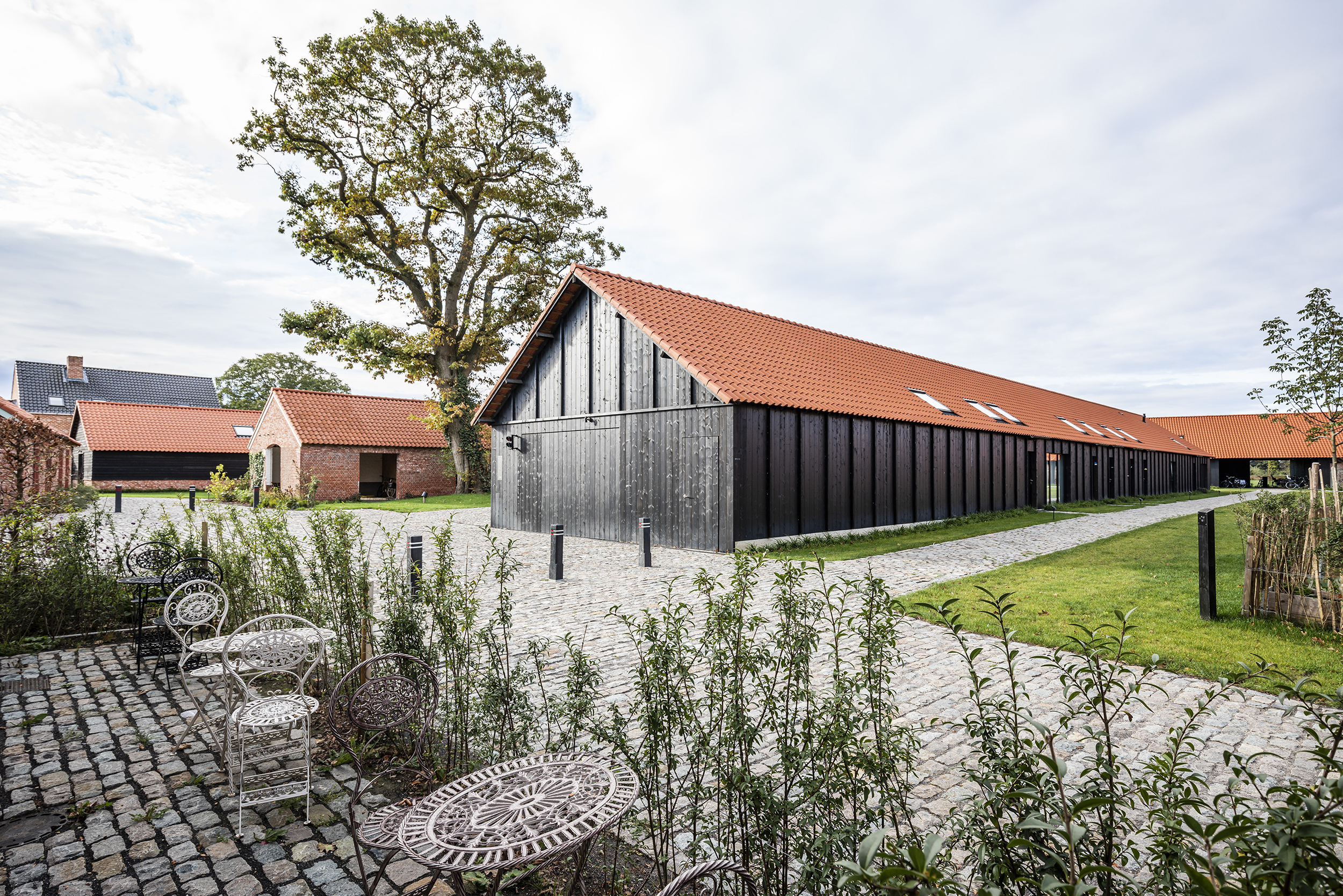 Qville copyright Lucid 01