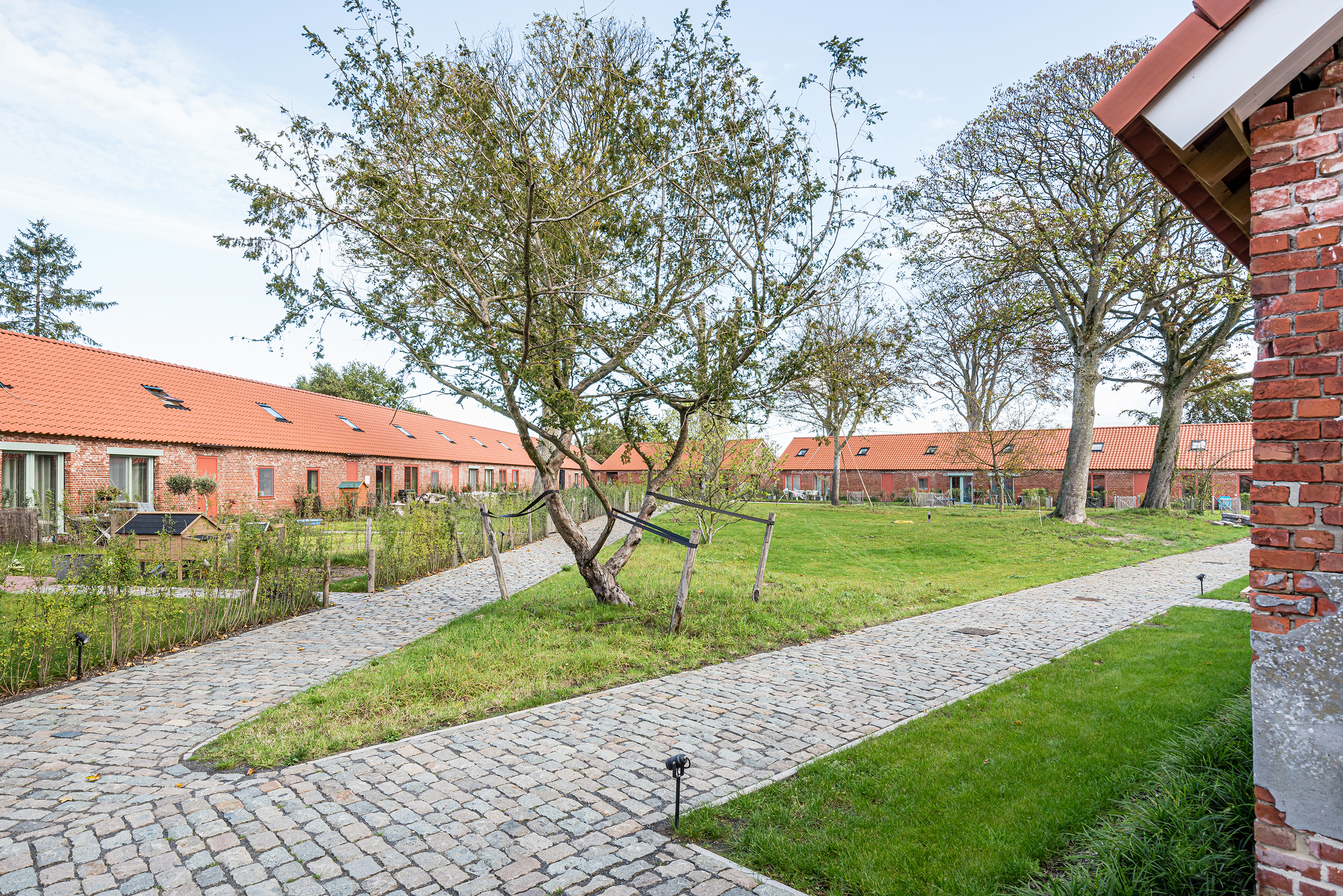 Qville copyright Lucid 08