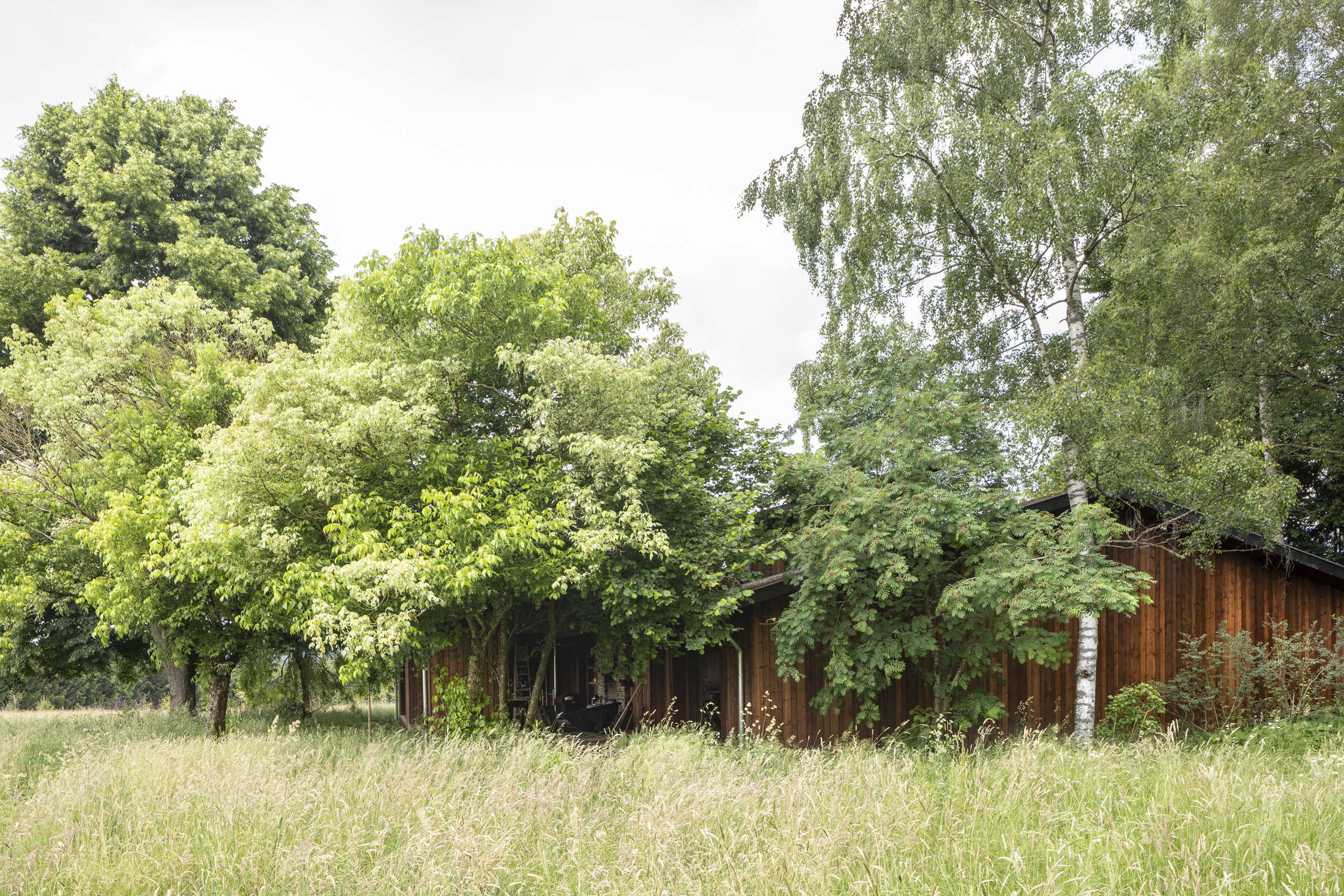 R Copyright Ilse Liekens 06