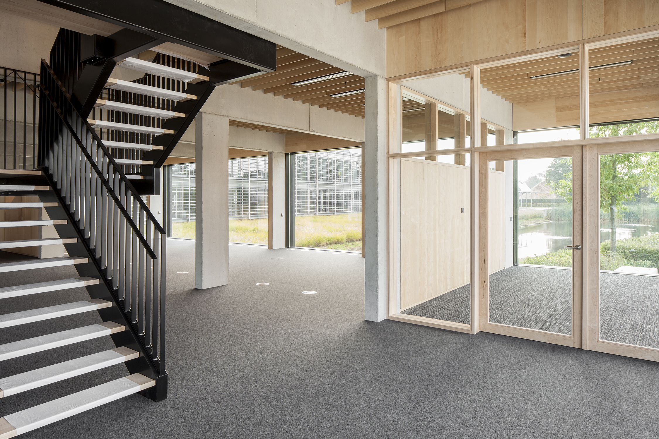 Ravago Copyright Ilse Liekens 07