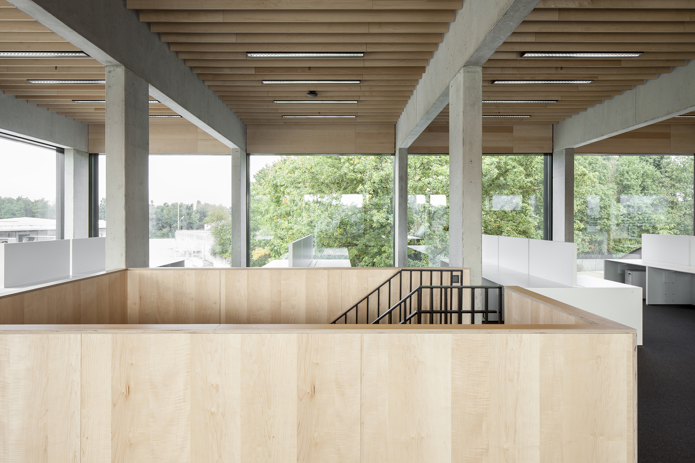 Ravago Copyright Ilse Liekens 15