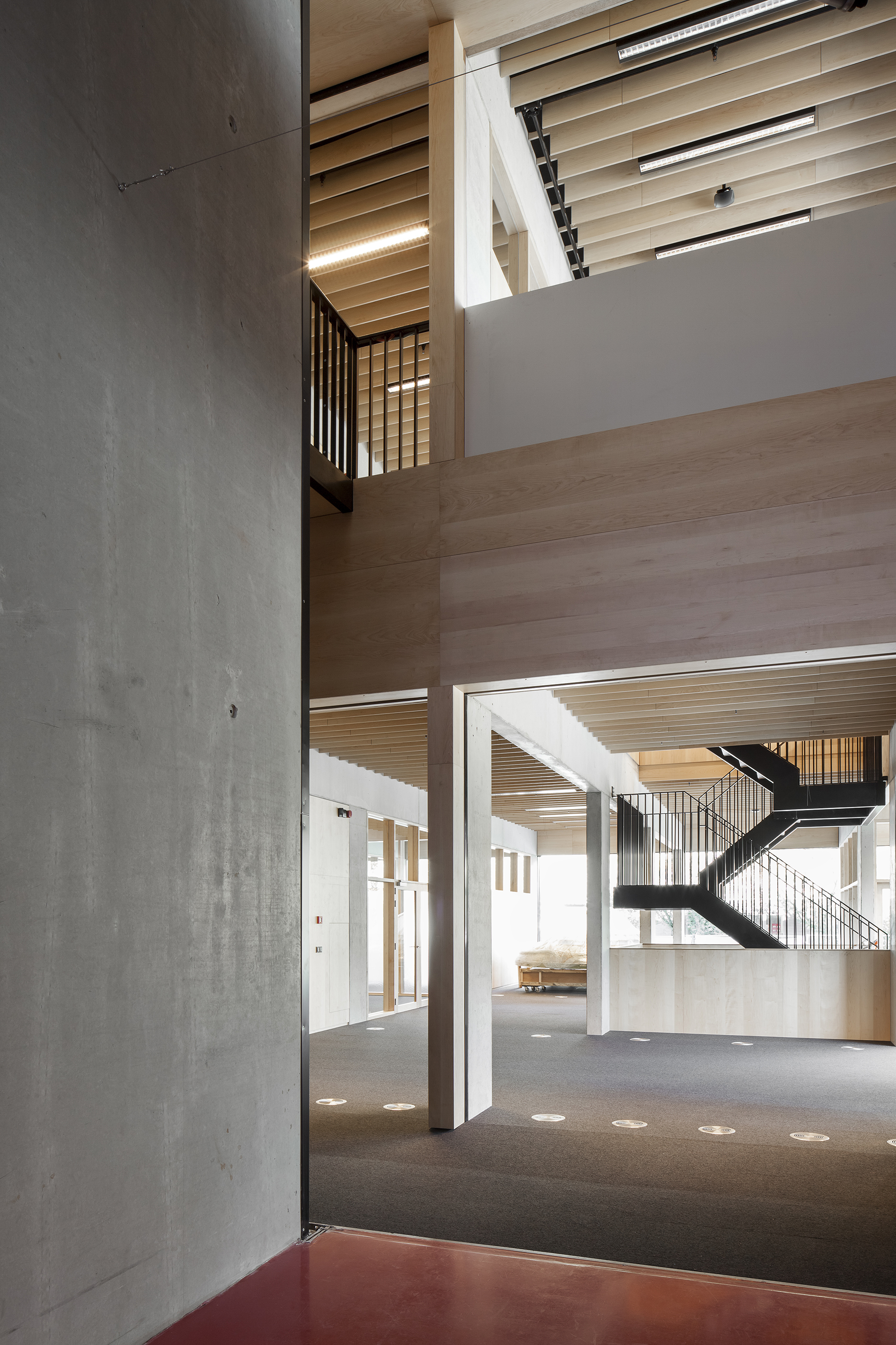 Ravago Copyright Ilse Liekens 23