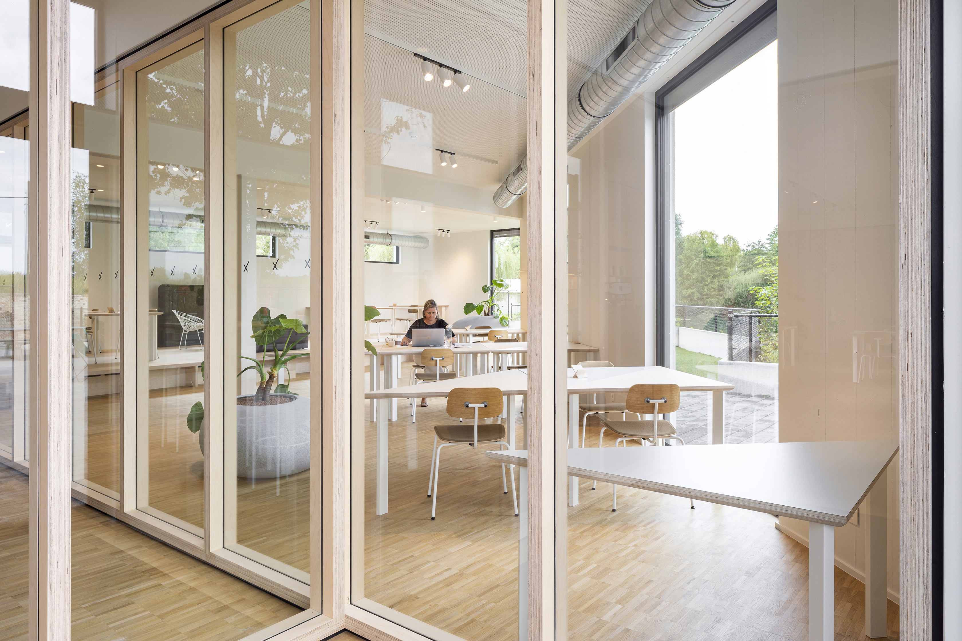 Xavier copyright Ilse Liekens 02