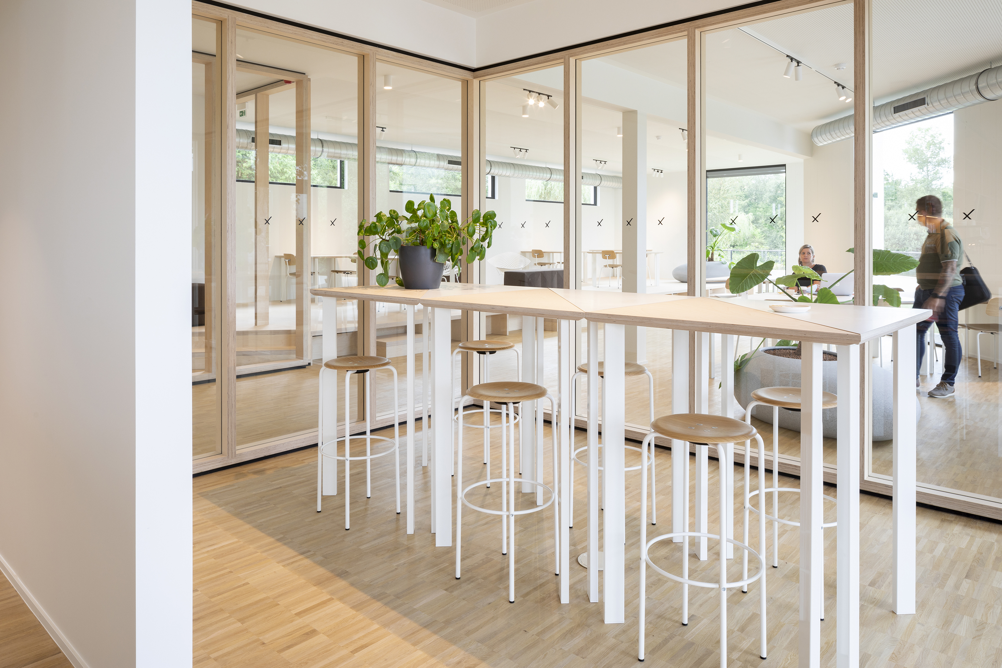 Xavier copyright Ilse Liekens 04