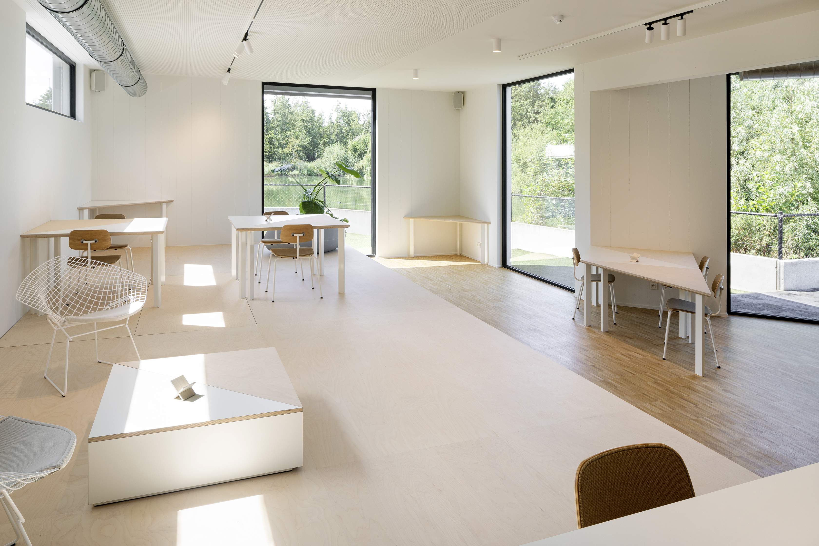 Xavier copyright Ilse Liekens 06