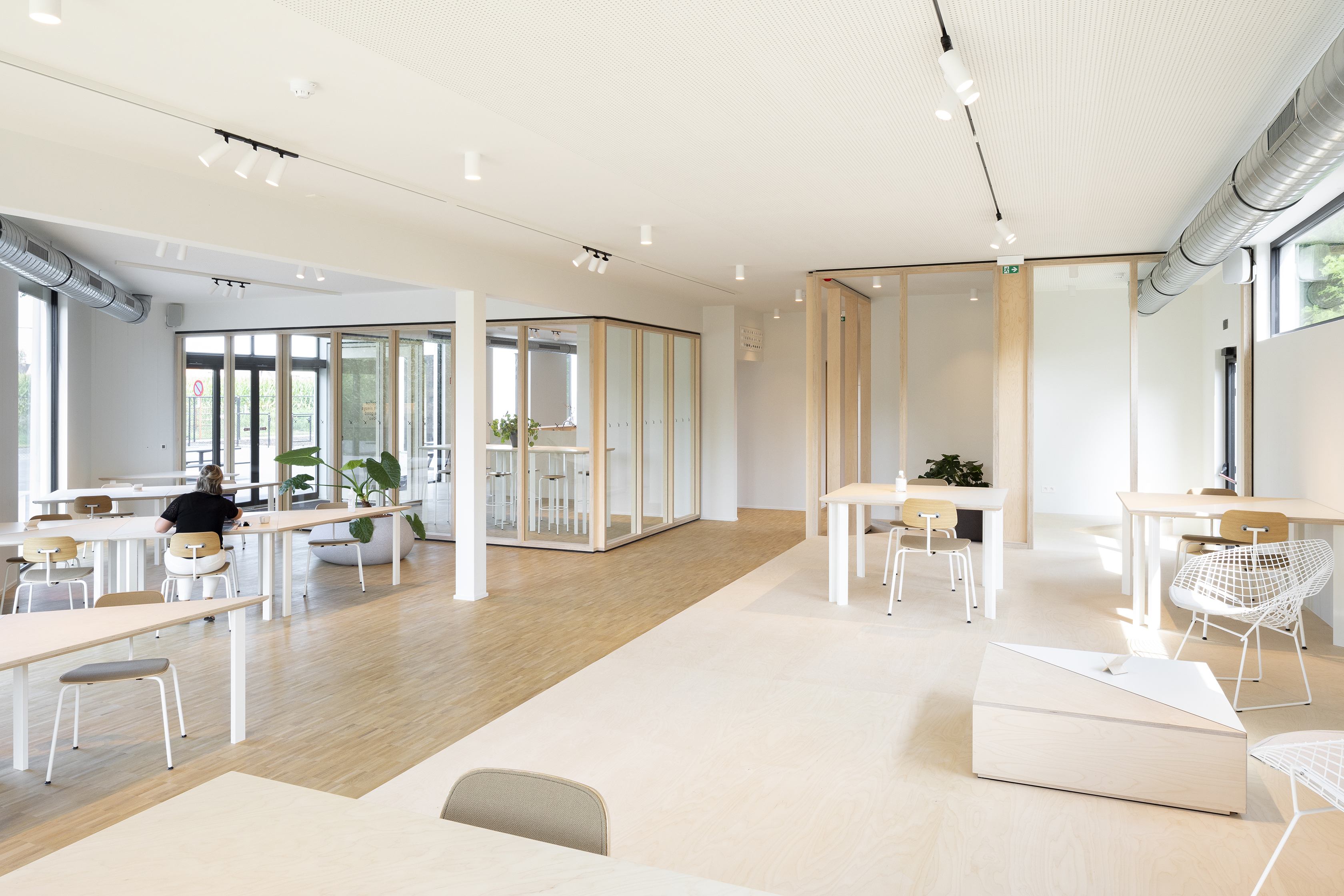 Xavier copyright Ilse Liekens 07