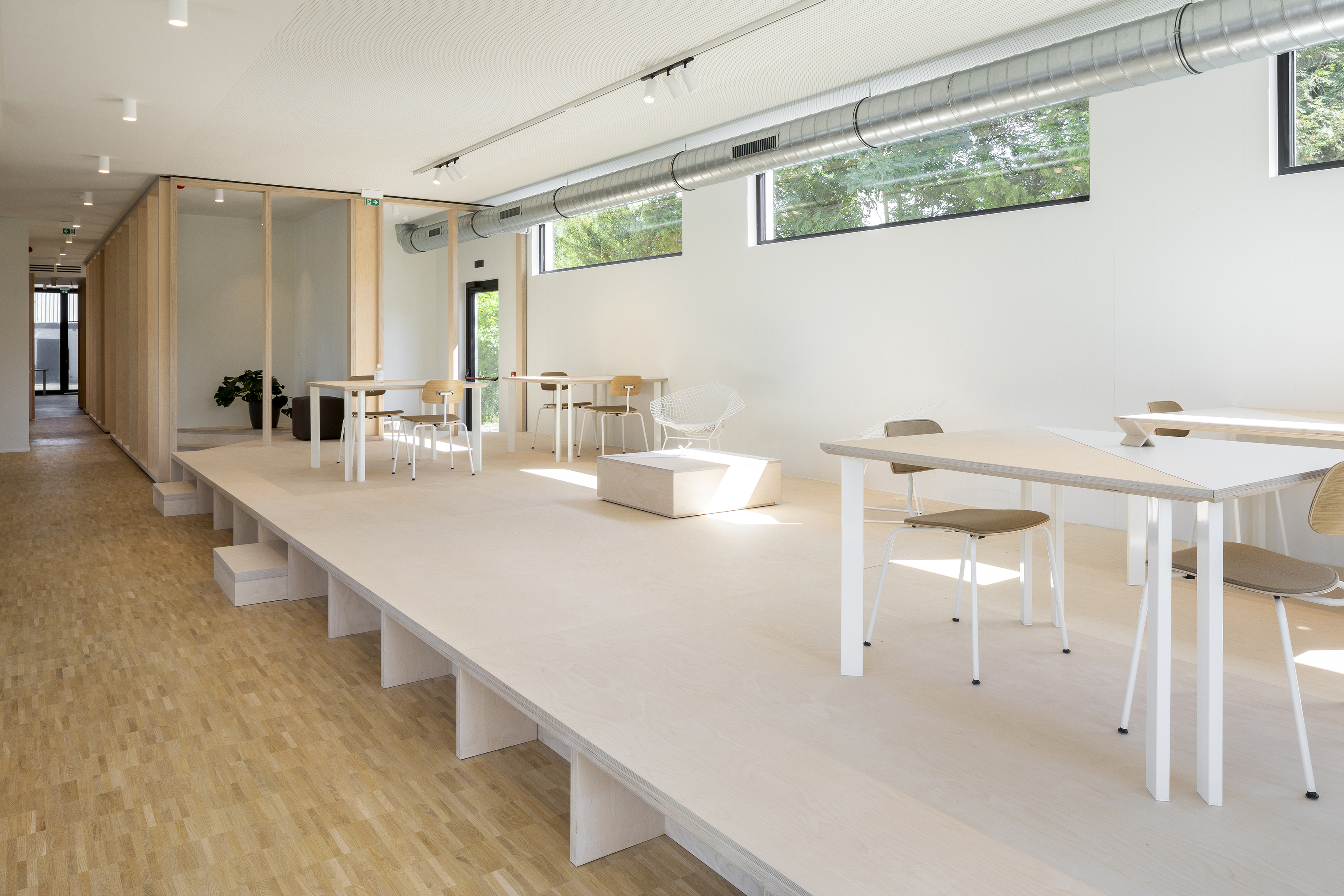 Xavier copyright Ilse Liekens 08