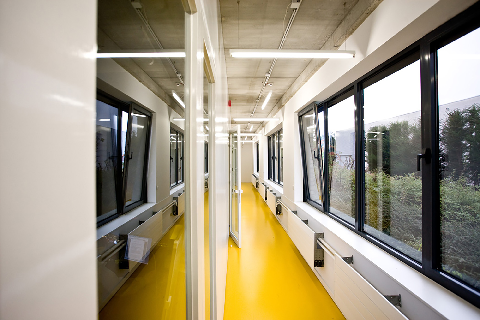 deMENSEN WimDaneels 1