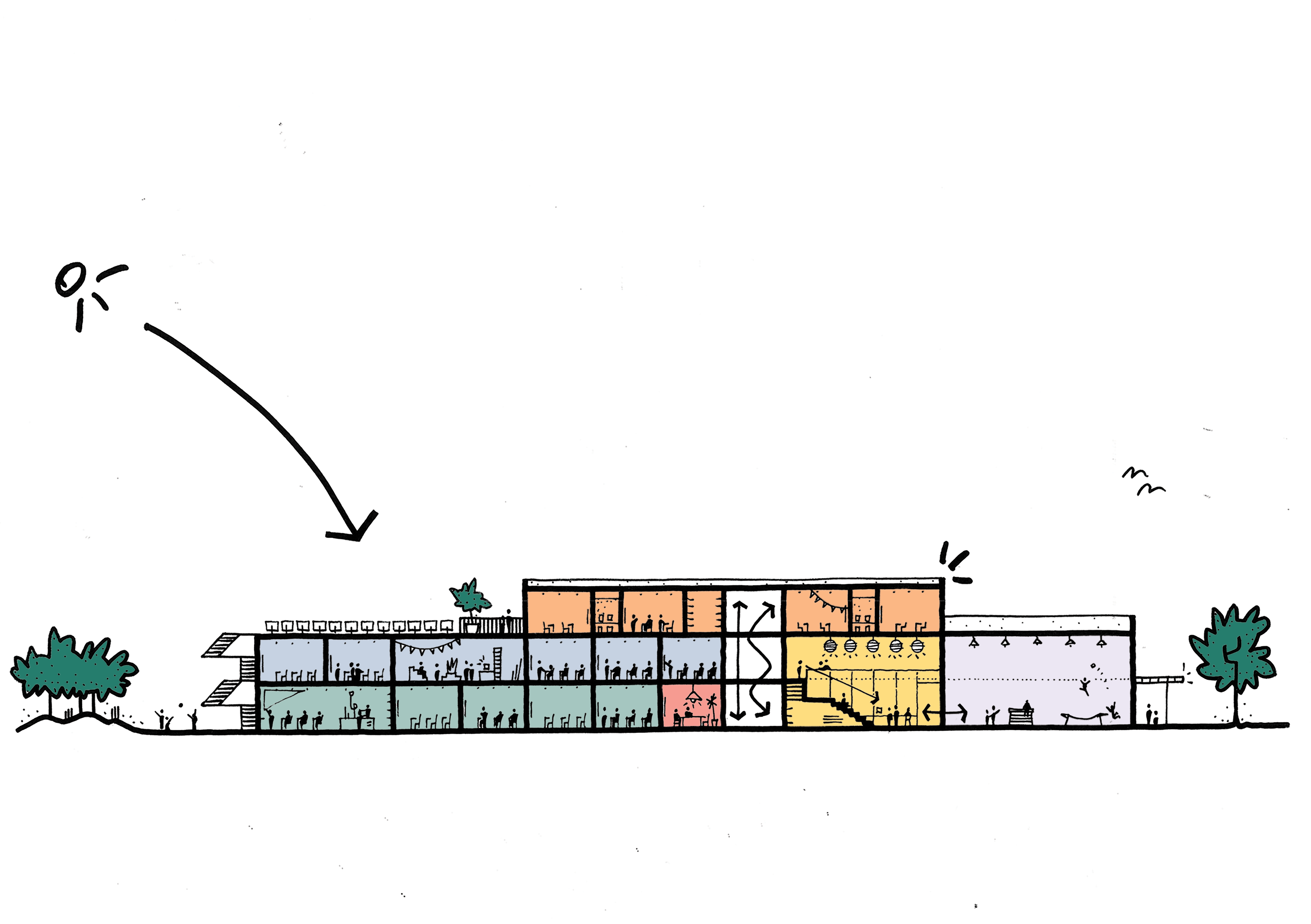 Evertschets langse snede